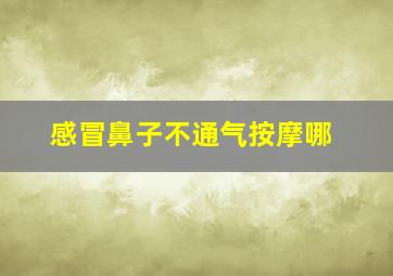 感冒鼻子不通气按摩哪