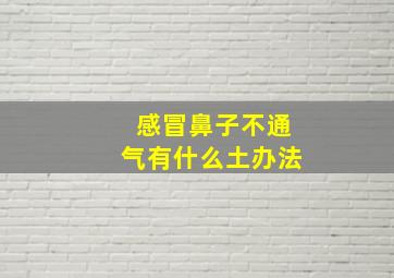 感冒鼻子不通气有什么土办法