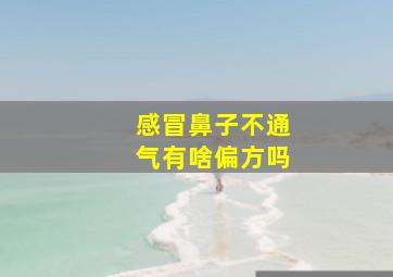 感冒鼻子不通气有啥偏方吗