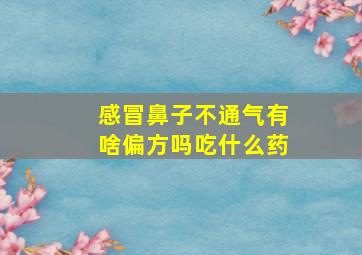 感冒鼻子不通气有啥偏方吗吃什么药