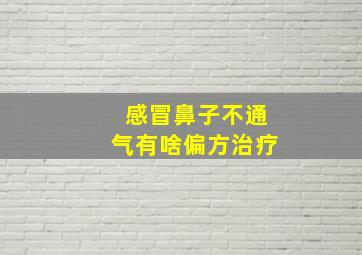 感冒鼻子不通气有啥偏方治疗