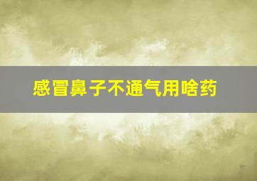 感冒鼻子不通气用啥药