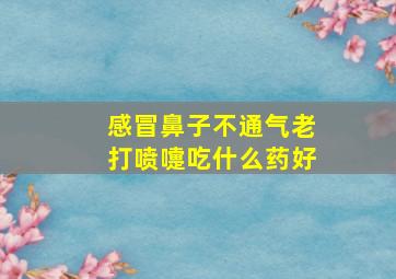 感冒鼻子不通气老打喷嚏吃什么药好