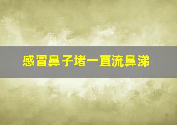 感冒鼻子堵一直流鼻涕