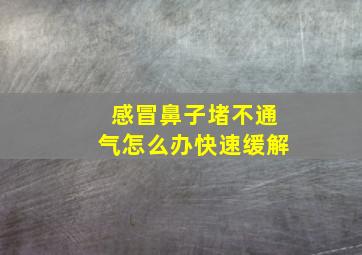 感冒鼻子堵不通气怎么办快速缓解