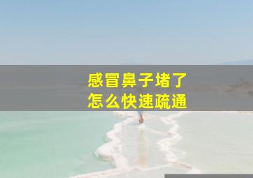 感冒鼻子堵了怎么快速疏通