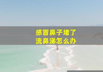 感冒鼻子堵了流鼻涕怎么办