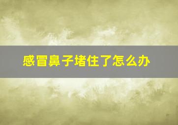 感冒鼻子堵住了怎么办