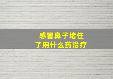 感冒鼻子堵住了用什么药治疗