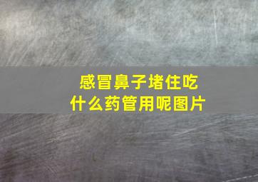 感冒鼻子堵住吃什么药管用呢图片