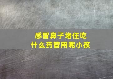 感冒鼻子堵住吃什么药管用呢小孩