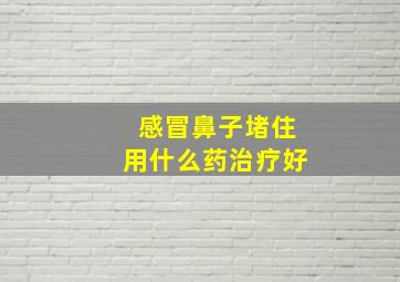 感冒鼻子堵住用什么药治疗好