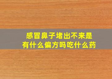 感冒鼻子堵出不来是有什么偏方吗吃什么药