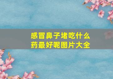 感冒鼻子堵吃什么药最好呢图片大全