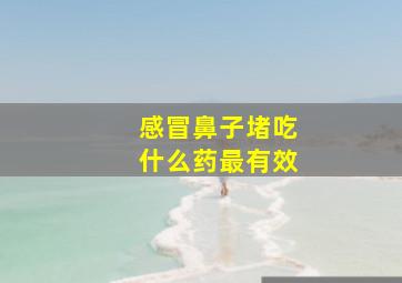 感冒鼻子堵吃什么药最有效