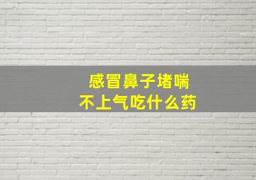 感冒鼻子堵喘不上气吃什么药