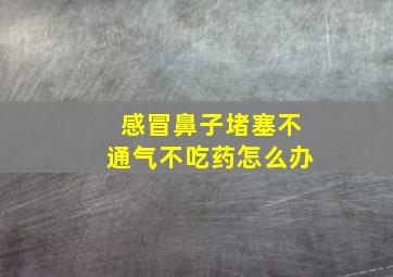 感冒鼻子堵塞不通气不吃药怎么办