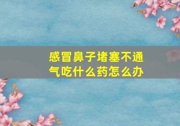 感冒鼻子堵塞不通气吃什么药怎么办