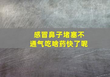 感冒鼻子堵塞不通气吃啥药快了呢