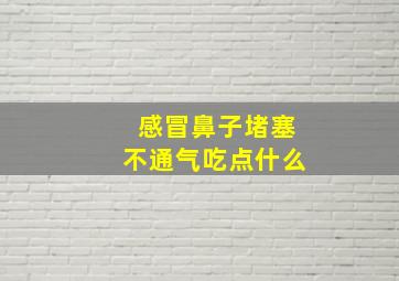 感冒鼻子堵塞不通气吃点什么