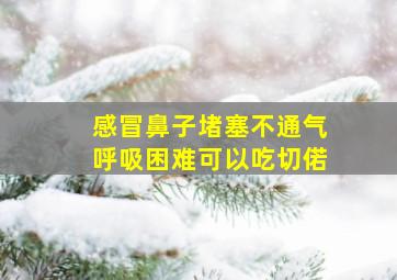 感冒鼻子堵塞不通气呼吸困难可以吃切偌