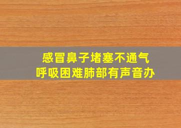 感冒鼻子堵塞不通气呼吸困难肺部有声音办