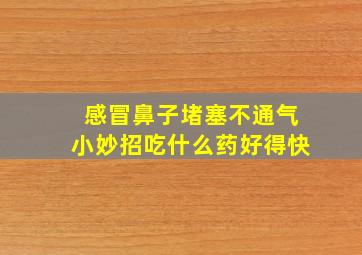 感冒鼻子堵塞不通气小妙招吃什么药好得快