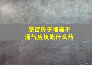 感冒鼻子堵塞不通气应该吃什么药