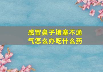 感冒鼻子堵塞不通气怎么办吃什么药