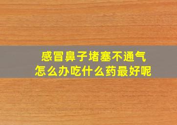 感冒鼻子堵塞不通气怎么办吃什么药最好呢