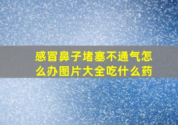 感冒鼻子堵塞不通气怎么办图片大全吃什么药