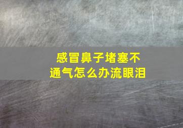 感冒鼻子堵塞不通气怎么办流眼泪