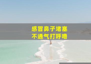 感冒鼻子堵塞不通气打呼噜