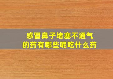 感冒鼻子堵塞不通气的药有哪些呢吃什么药