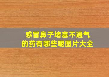 感冒鼻子堵塞不通气的药有哪些呢图片大全