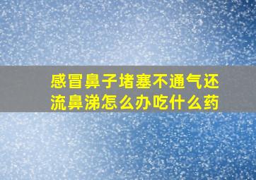 感冒鼻子堵塞不通气还流鼻涕怎么办吃什么药