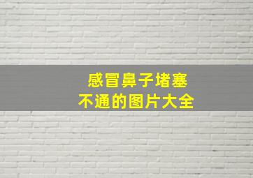 感冒鼻子堵塞不通的图片大全