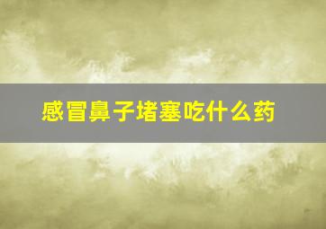 感冒鼻子堵塞吃什么药