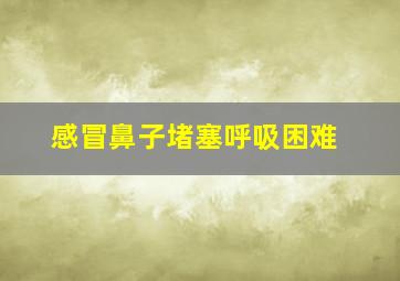 感冒鼻子堵塞呼吸困难