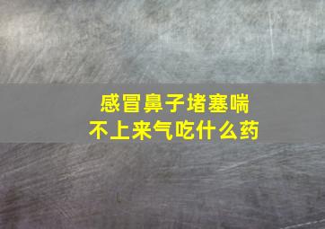 感冒鼻子堵塞喘不上来气吃什么药