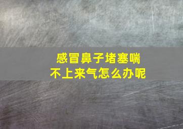 感冒鼻子堵塞喘不上来气怎么办呢