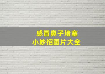 感冒鼻子堵塞小妙招图片大全