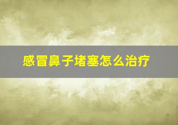 感冒鼻子堵塞怎么治疗