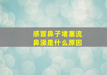 感冒鼻子堵塞流鼻涕是什么原因