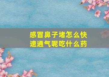 感冒鼻子堵怎么快速通气呢吃什么药