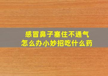 感冒鼻子塞住不通气怎么办小妙招吃什么药