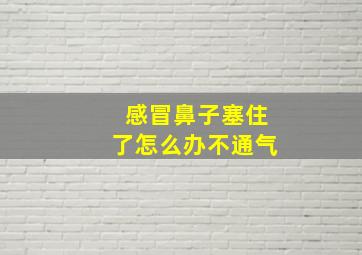 感冒鼻子塞住了怎么办不通气