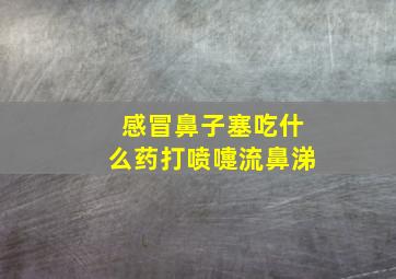 感冒鼻子塞吃什么药打喷嚏流鼻涕