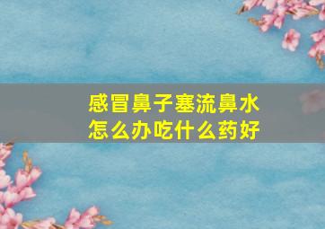 感冒鼻子塞流鼻水怎么办吃什么药好