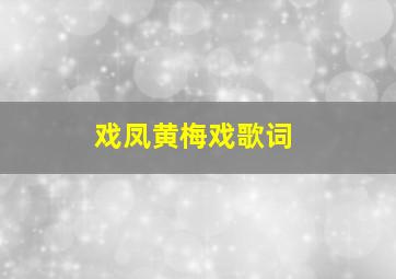 戏凤黄梅戏歌词